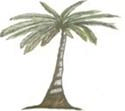 Kenya African Democratic Union-Asili
