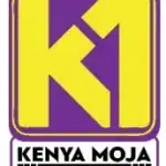 Kenya Moja Movement Party